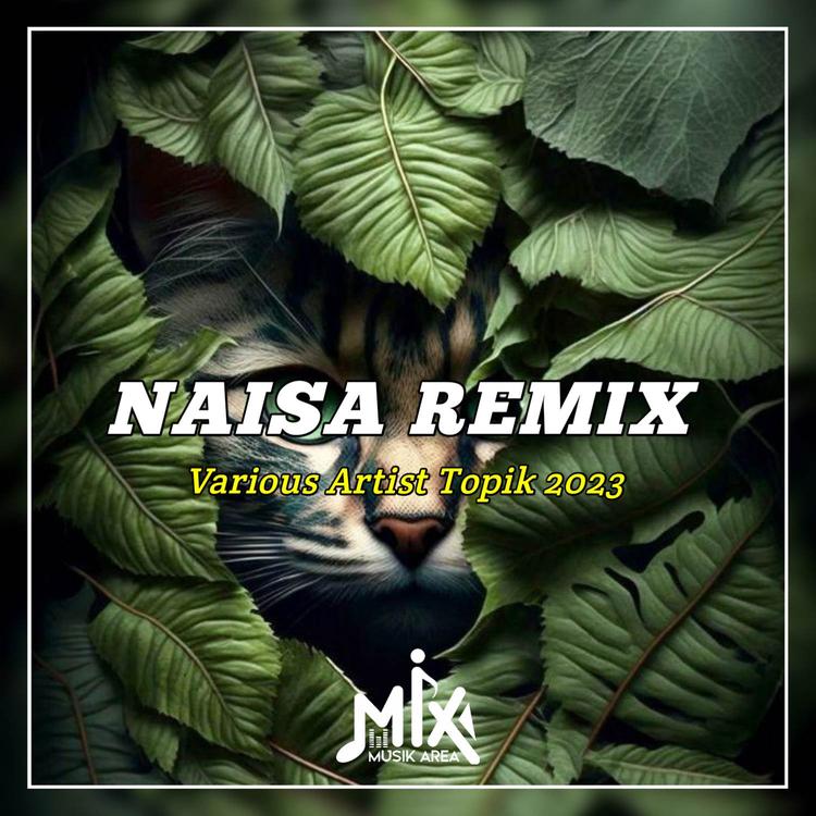 Naisa Remix's avatar image