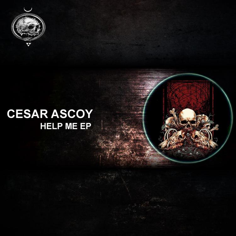 Cesar Ascoy's avatar image