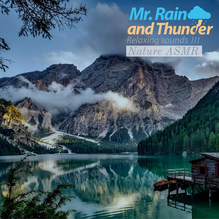 Mr. Rain and Thunder's avatar image