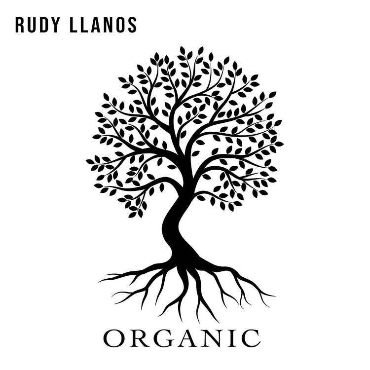 Rudy Llanos's avatar image