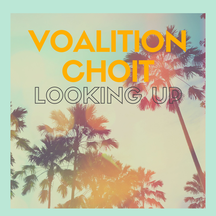 Voalition Choit's avatar image