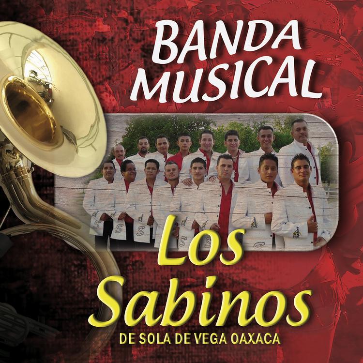 Banda Musical Los Sabinos's avatar image