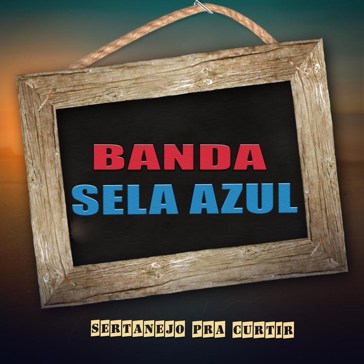 Banda sela azul's avatar image