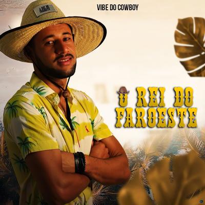 Vibe do Cowboy's cover