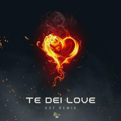 TE DEI LOVE (KOF VIP REMIX)'s cover