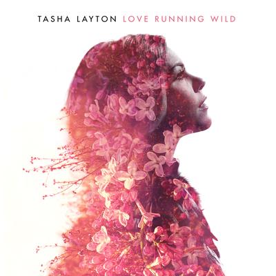 Safe Here By Tasha Layton's cover
