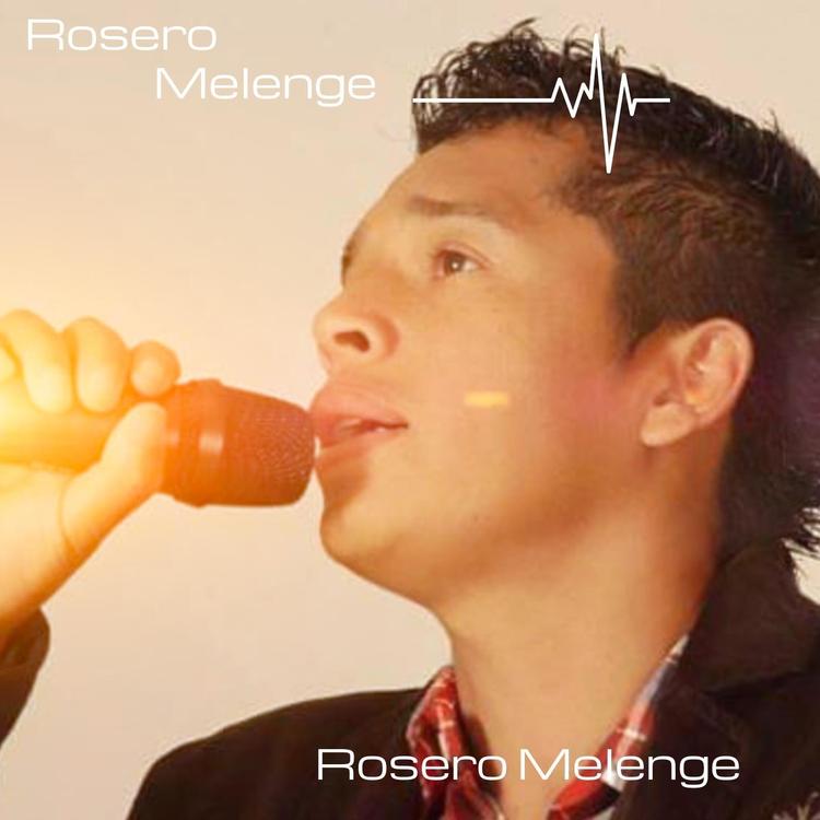 Rosero Melenge's avatar image