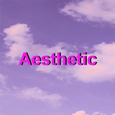 Aesthetic Remix By The Reels's cover