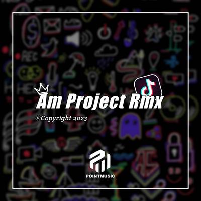 Am project Rmx's cover