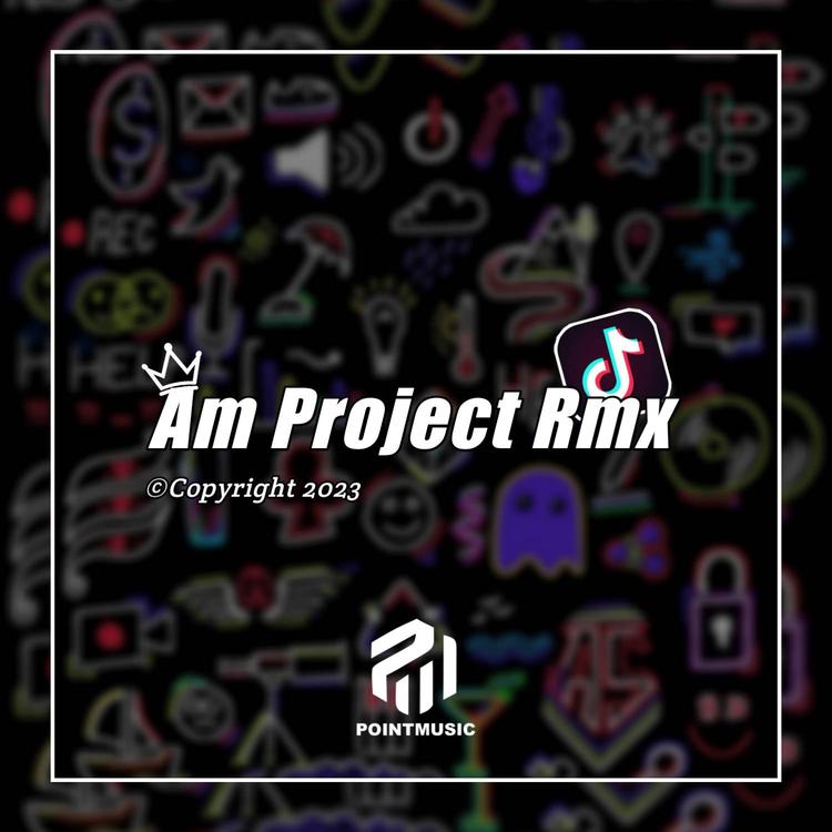 Am project Rmx's avatar image