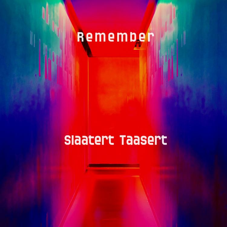 Slaatert Taasert's avatar image