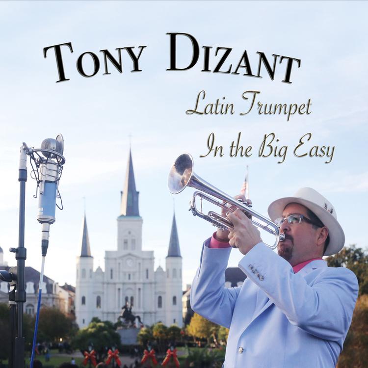 Tony Dizant's avatar image