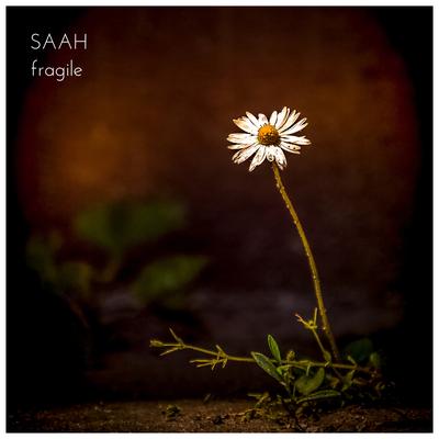 Fragile By Saah's cover