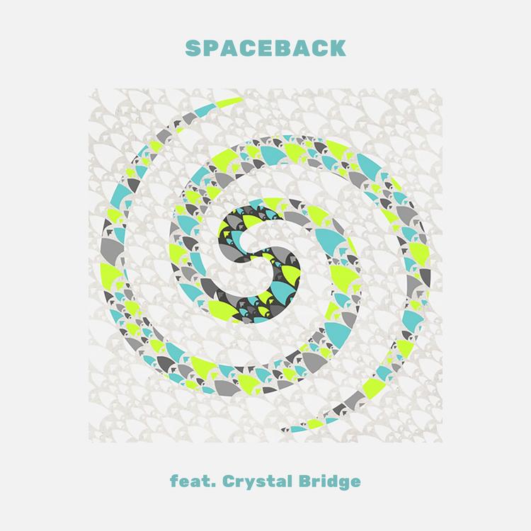 SpaceBack's avatar image