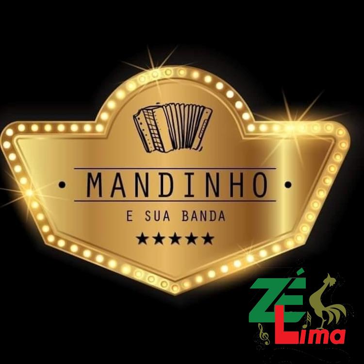 Mandinho e sua Banda's avatar image
