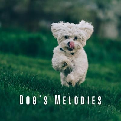 Dog's Melodies: Harmonic Piano Tales's cover