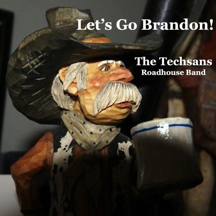 The Techsans Roadhouse Band's avatar image