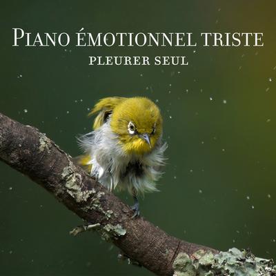 Sons de piano tristes's cover