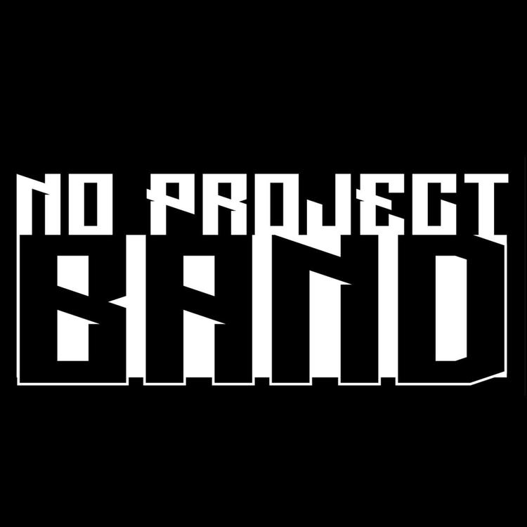 No Project Band's avatar image