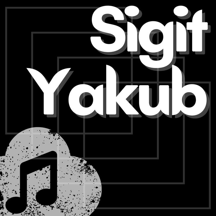 Sigit Yakub's avatar image