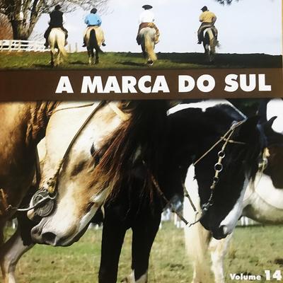 Levando a Vida Nos Tentos By Os Filhos do Rio Grande's cover