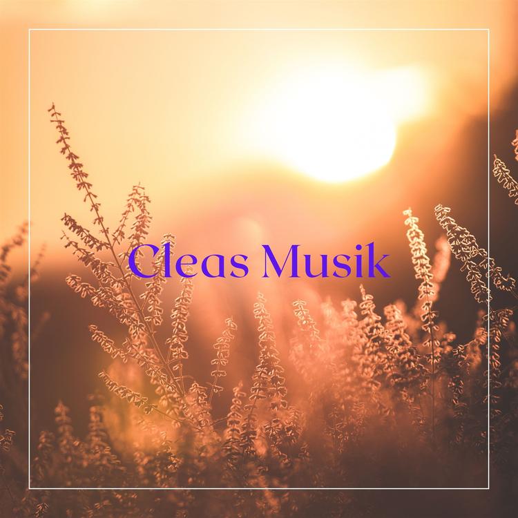Cleas Musik's avatar image
