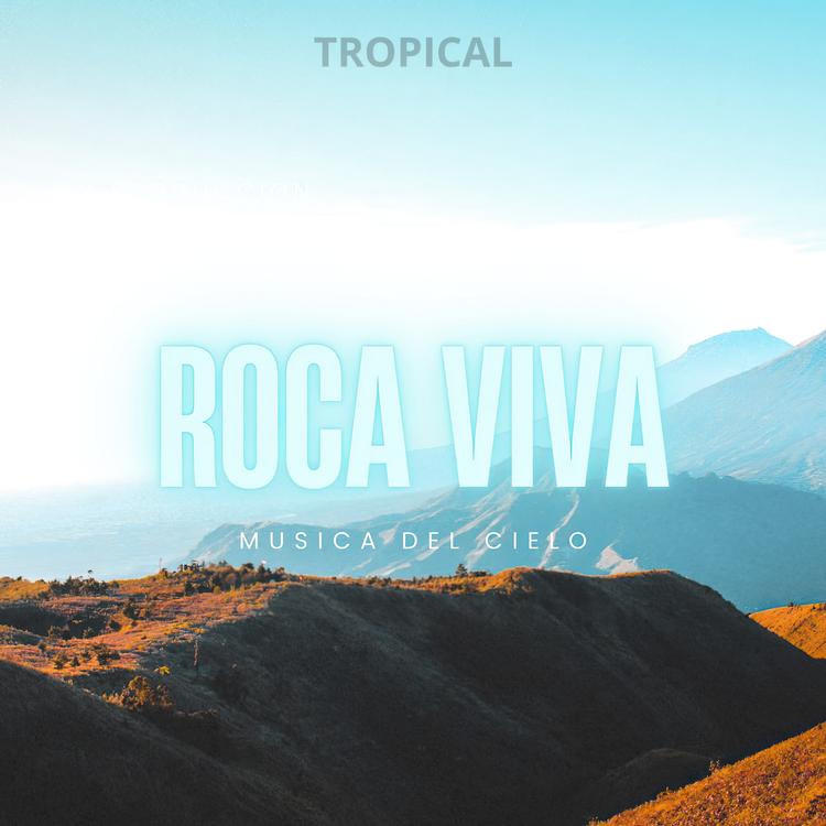 Roca Viva's avatar image