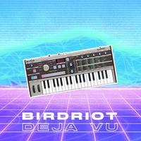 Birdriot's avatar cover