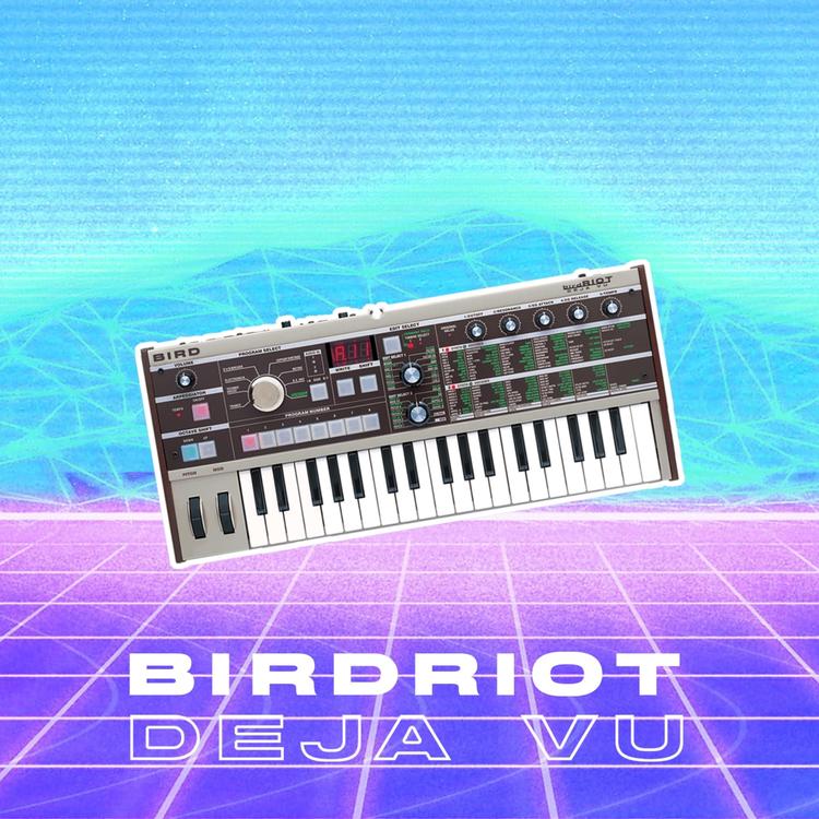 Birdriot's avatar image