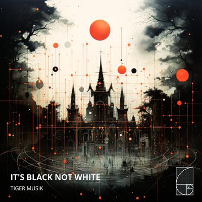 It's Black Not White By Tiger Musik's cover