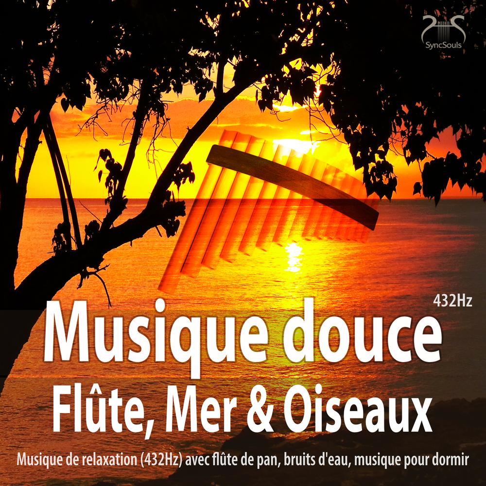 Musique douce flûte, mer et oiseaux - Musique de relaxation (432Hz) avec  flûte de pan, bruits d'eau, musique pour dormir Official TikTok Music