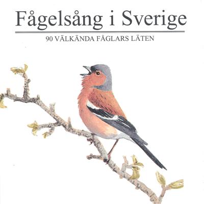 Alfågel's cover