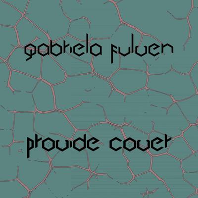 Provide Cover (Radio Edit)'s cover