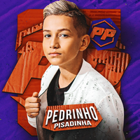 Pedrinho Pisadinha's avatar cover