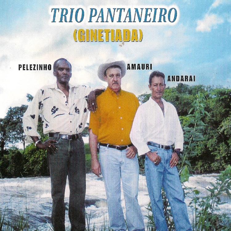 Trio Pantaneiro's avatar image