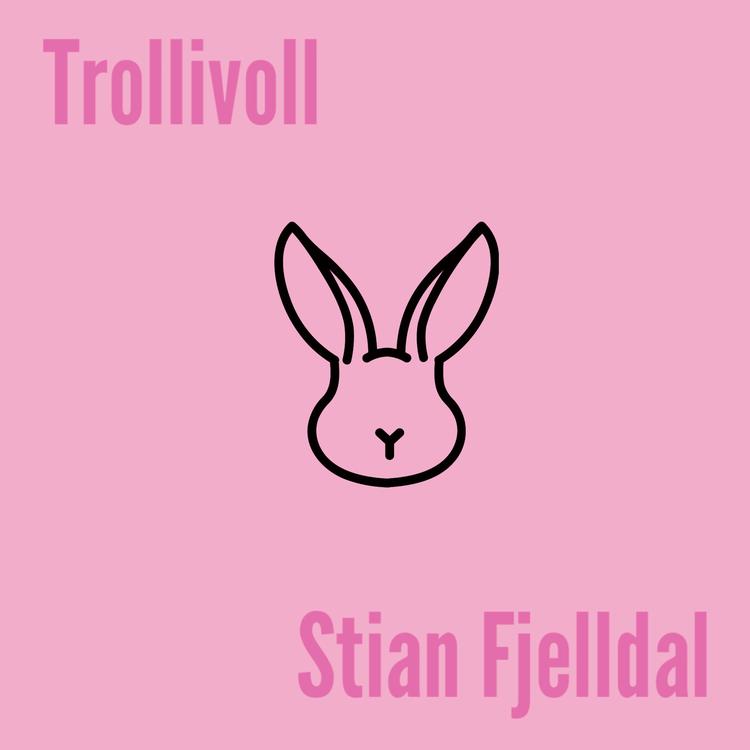Stian Fjelldal's avatar image