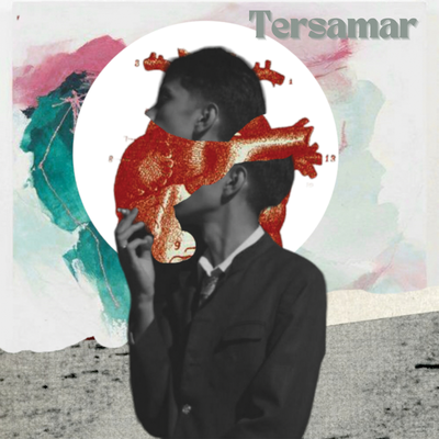 Tersamar's cover