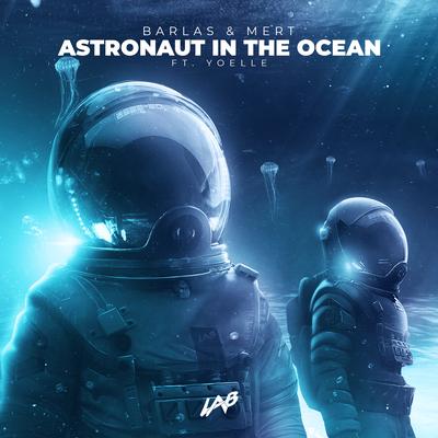 Astronaut in the Ocean By Barlas & Mert, Yoelle's cover