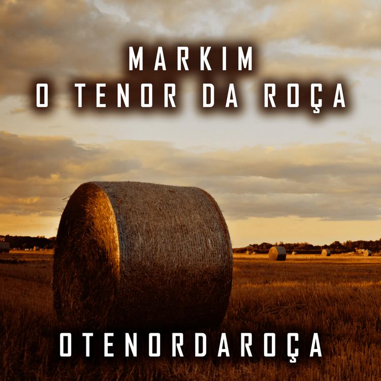 Markim o Tenor da Roça's avatar image