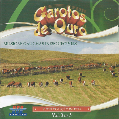 Músicas Gaúchas Inesquecíveis, Vol. 3's cover