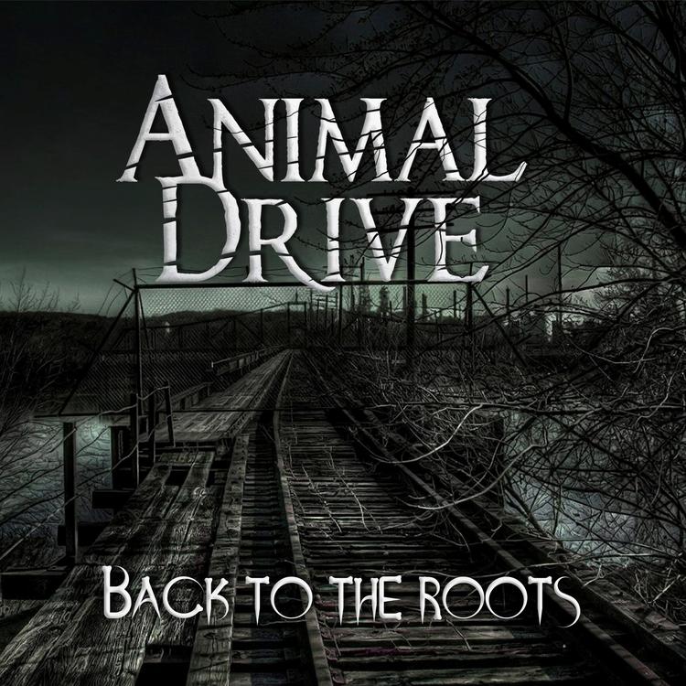 Animal Drive's avatar image