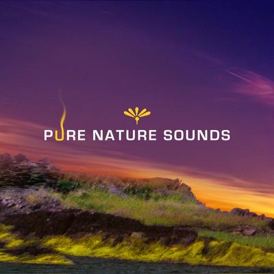 Pure Nature Sounds's cover