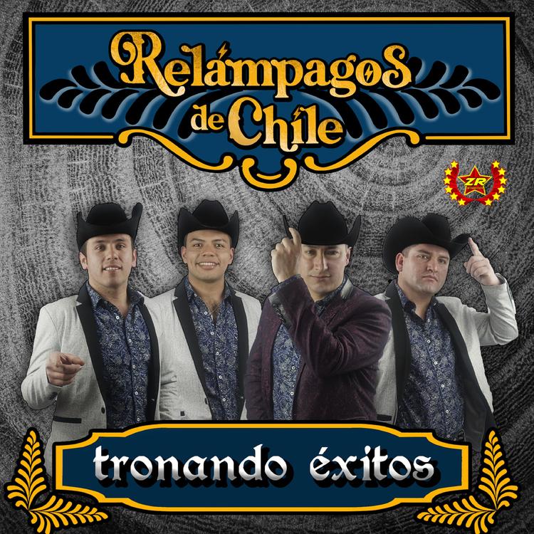 Relámpagos de Chile's avatar image