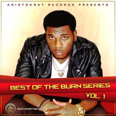 Best of Burn Series, Vol. 1's cover