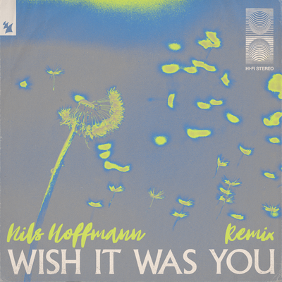 Wish It Was You (Nils Hoffmann Remix) By Nils Hoffmann, Audien, Cate Downey's cover