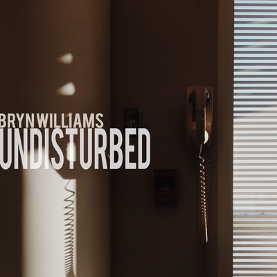 Undisturbed By Bryn Williams's cover