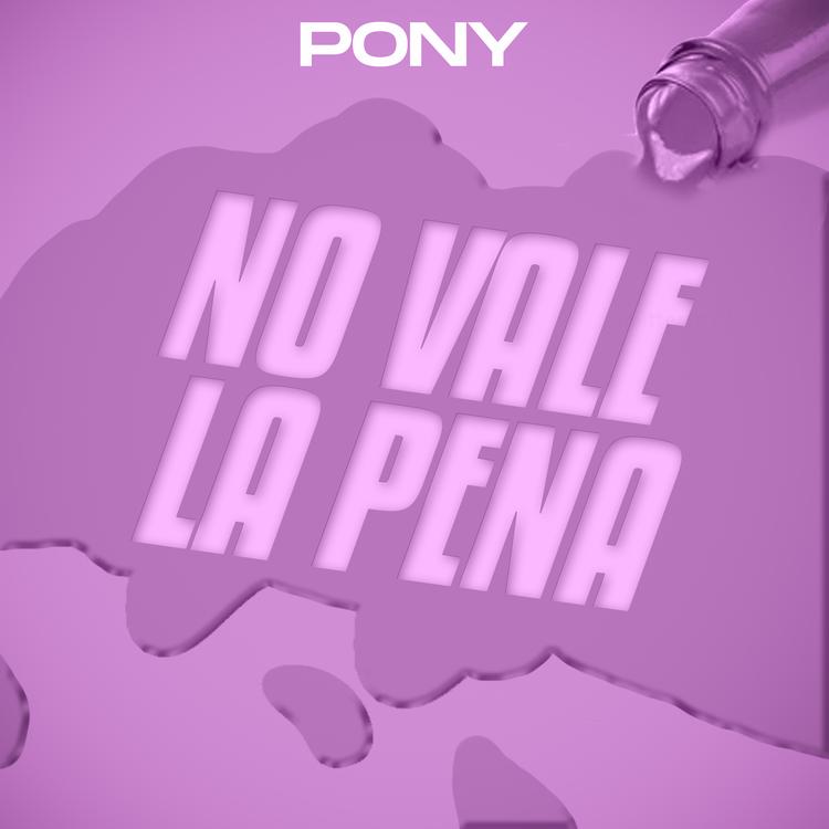 Pony's avatar image