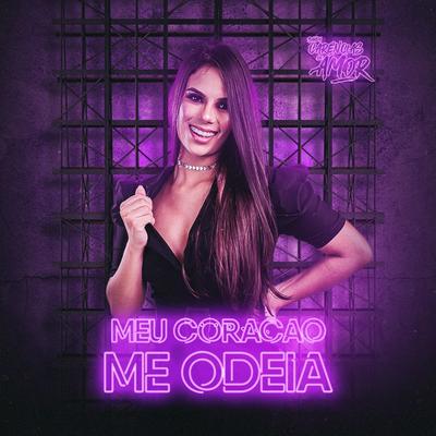 Meu Coração Me Odeia (Cover)'s cover