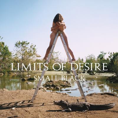 Breathless By Small Black's cover