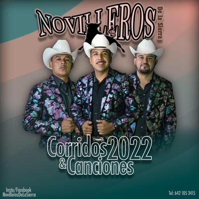 Corridos y Canciones 2022's cover